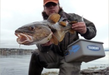  Fotografía de Pesca con Mosca de Pollock por Fly Fishing Fanatics – Fly dreamers