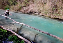 Brown trout Fly-fishing Situation – Antonio Napolitano shared this Photo in Fly dreamers 