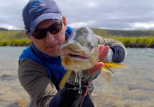 Fly-fishing Image of Brown trout shared by Antonio Napolitano – Fly dreamers