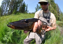 Kuba Hübner 's Fly-fishing Photo of a Pike – Fly dreamers 