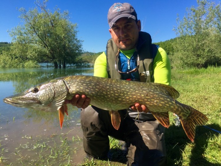 A perfetto day on Italian lake finding pike pike pike 