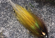 Jason Taylor 's Fly for Brown trout - Image – Fly dreamers 