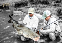Surubi Fly-fishing Situation – Vittorio Botta shared this Great Pic in Fly dreamers 