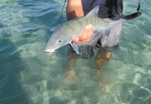 Biscayne Bay, Miami, United States