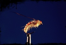  Excelente Foto de Atado de moscas compartida por Mike Van Den Bogert – Fly dreamers