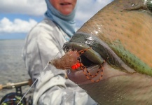  Imagen de Pesca con Mosca de Triggerfish compartida por Jako Lucas – Fly dreamers