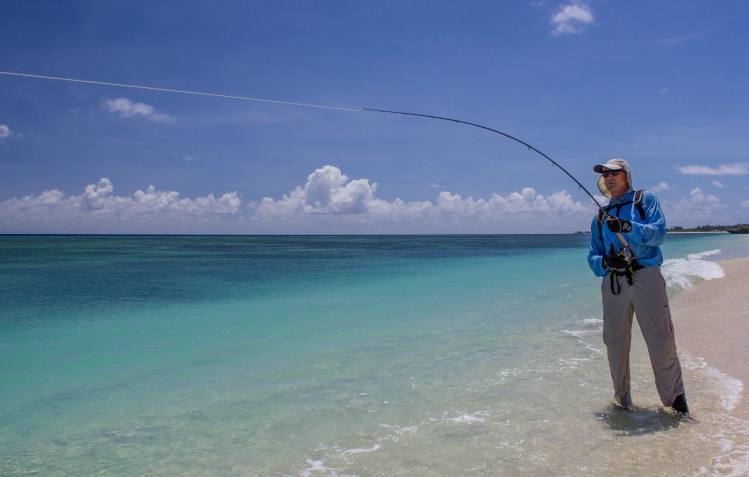 Photo by Alphonse Fishing Co Crew