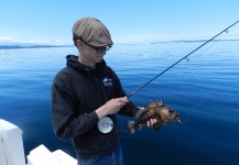 Colton Graham 's Fly-fishing Picture of a Lingcod – Fly dreamers 