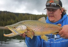 Fly-fishing Picture of Brown trout shared by Mountain Made Media – Fly dreamers