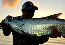Hai Truong 's Fly-fishing Image of a Tarpon – Fly dreamers 
