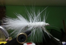 Sergio Perez 's Fly-tying Photo – Fly dreamers 