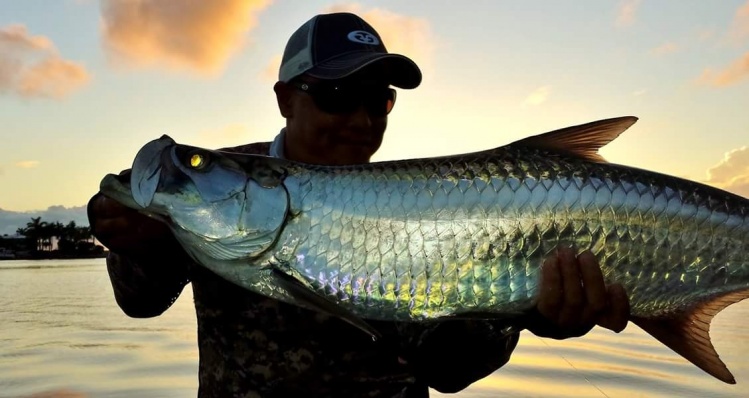 Lil tarpon on fly at 'magic hour' in the Florida Keys.