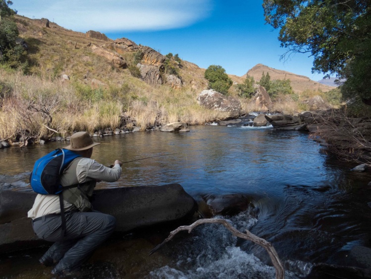 Small lakes and streams, KZN Midlands, South Africa