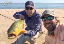 Fly-fishing Photo of Golden Dorado shared by Vittorio Botta – Fly dreamers 