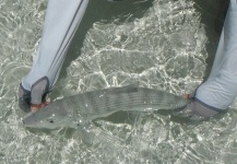  Foto de Pesca con Mosca de Bonefish por Michael Biggins – Fly dreamers 