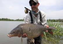 Fly-fishing Pic of Carp shared by Jean Baptiste Vidal – Fly dreamers 