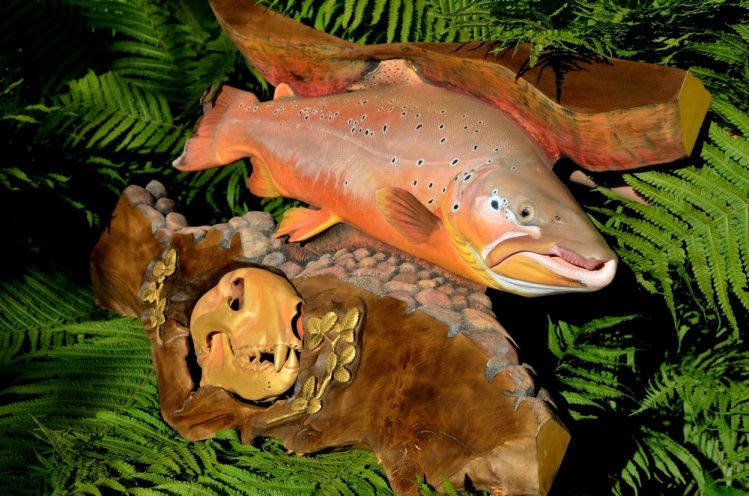 Patagonian brown trout with cougar's skull carved in wood.