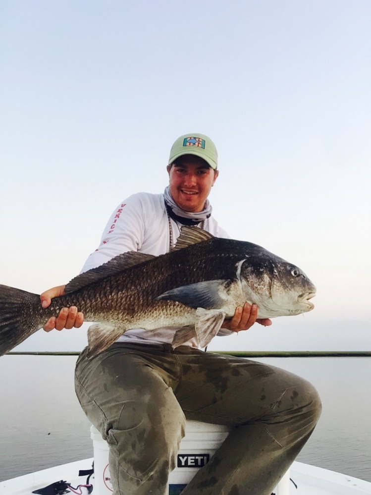 Big Black drum!! 20-28 pounds