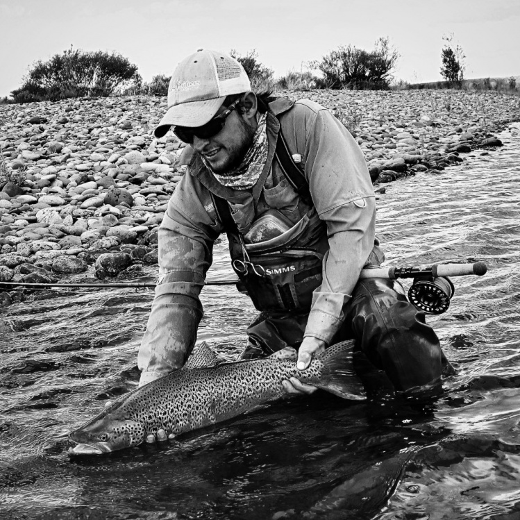 young Middle Limay Brown 