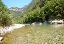 dolomites river, Veneto's province, veneto, Italy