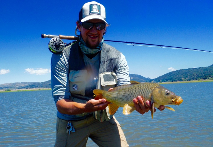 Tied up some foam hoppers and caught about 30 of these bad boys. Carp on the dries, good times.