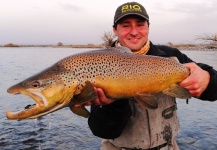 Fly-fishing Picture of Brown trout shared by Gaston Ambrosino – Fly dreamers