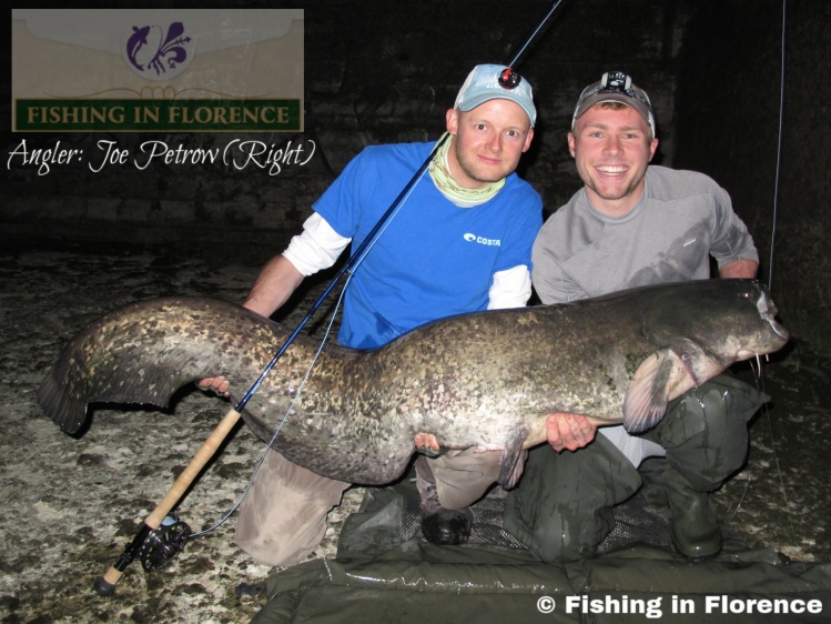 Huge 173cm (160+ pound) Wels Catfish caught on the fly in Florence, Italy.  Being one of the biggest Wels, if not the biggest, caught on a fly to date, this fish of a lifetime is one for the record books.

Full story: joepetrowflyfishing.com