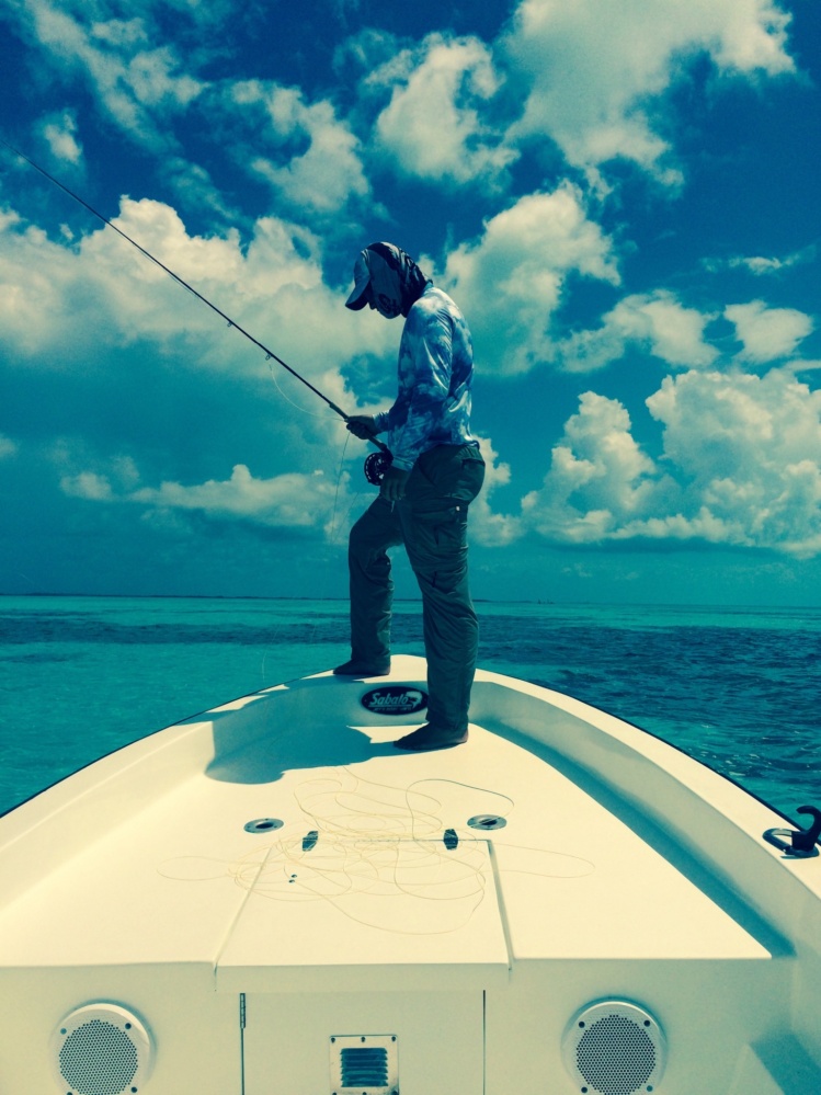 Fish Cowboy
- Savanah Flats, Ambergris Caye, Belize