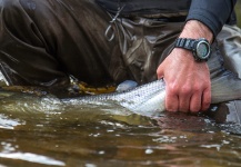  Salmón del Atlántico – Situación de Pesca con Mosca – Por Black Fly Eyes Flyfishing