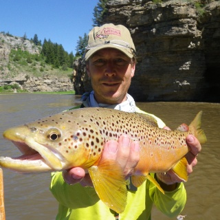 Smith River Brown