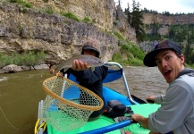 Fly-fishing Image of Rainbow trout shared by Daniel Macalady – Fly dreamers