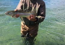 Fly-fishing Situation of Rainbow trout shared by Mariano Peppi 