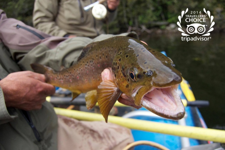 Una muy buena pesca en Rio Baker