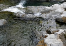 Tržiška Bistrica - small alpine style river of Slovenia