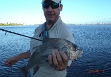 Fly-fishing Pic of Black Drum shared by David Bullard – Fly dreamers 