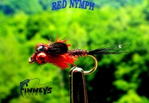 Fly-tying for Brook trout - Image by Lawrence Finney 