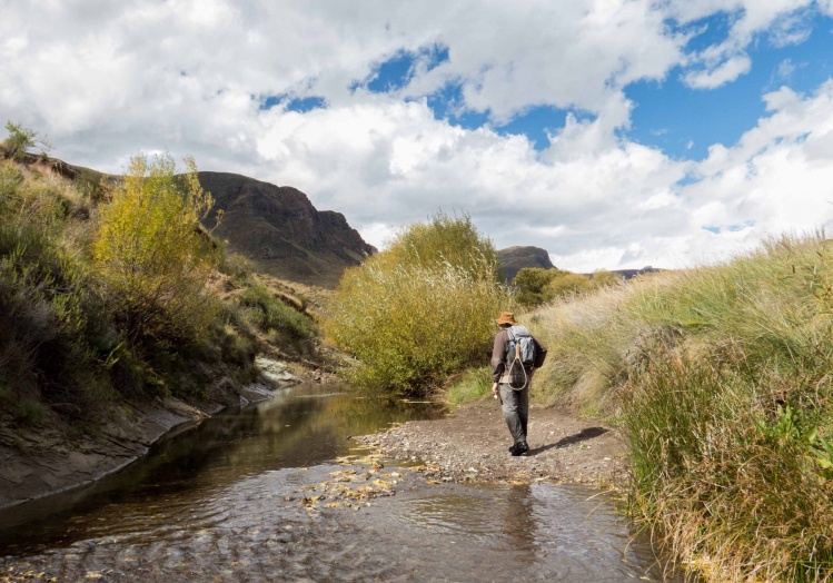 Small stream flyfishing. NE Cape