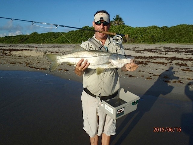 another solid snook just when I was about to call it quits....first ever on crab fly from sand...A BLAST!!