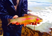 Brecon Powell 's Fly-fishing Photo of a Golden Trout – Fly dreamers 