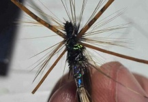 Fabian Rubano 's Fly-tying for Brown trout - Photo – Fly dreamers 