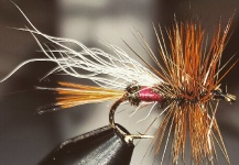 Fly for Brown trout - Image by Fabian Rubano – Fly dreamers 