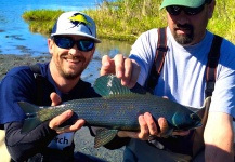 Fly-fishing Pic of Grayling shared by Nick Holman – Fly dreamers 