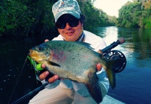 Fly-fishing Picture of Pacu shared by Thiago Carrano – Fly dreamers