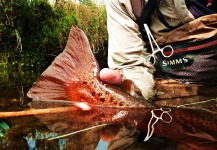  Mira esta Excelente fotografía de Arte de Pesca con Mosca de Miguel Angel Marino