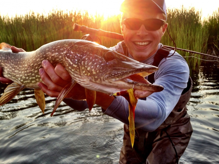 Colorado pike - Joe Petrow