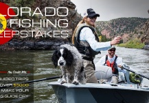 Vail Valley Anglers Colorado Fly Fishing Sweepstakes