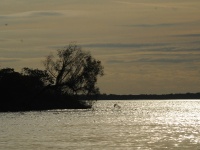 Foto de pesca con mosca