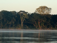 Foto de pesca con mosca