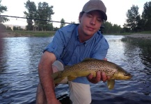 Fly-fishing Picture of Brownie shared by Ryan Breault – Fly dreamers