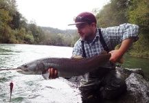 Nicholas Ferentzi 's Fly-fishing Picture of a Danube Salmon - Hucho Hucho – Fly dreamers 